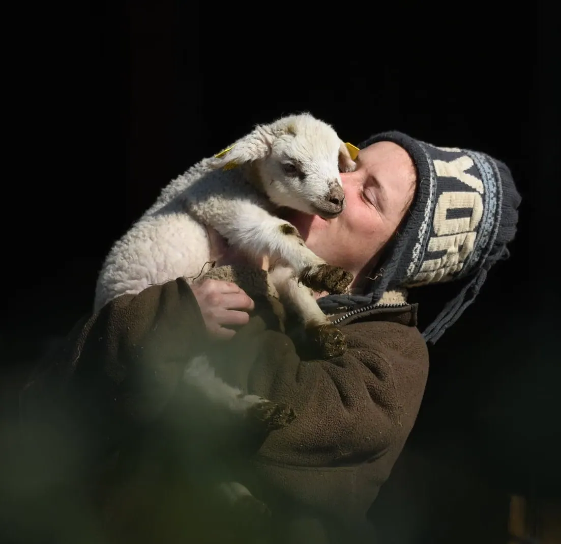 Agropastoralism is a very popular technique in New Zealand.