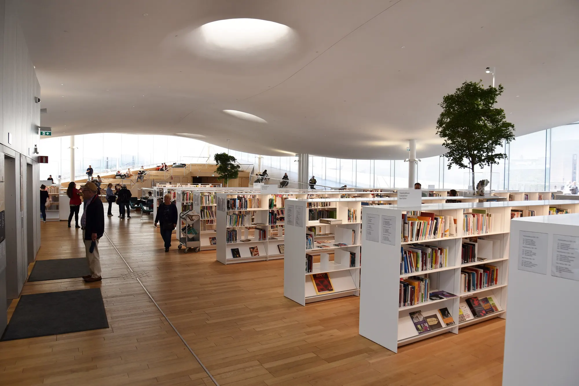 Le « paradis des livres » au dernier étage : rayonnages blancs, parquet, plafond blanc ondulé percé de puits de lumière, arbre en pot, lecteurs, août 2019