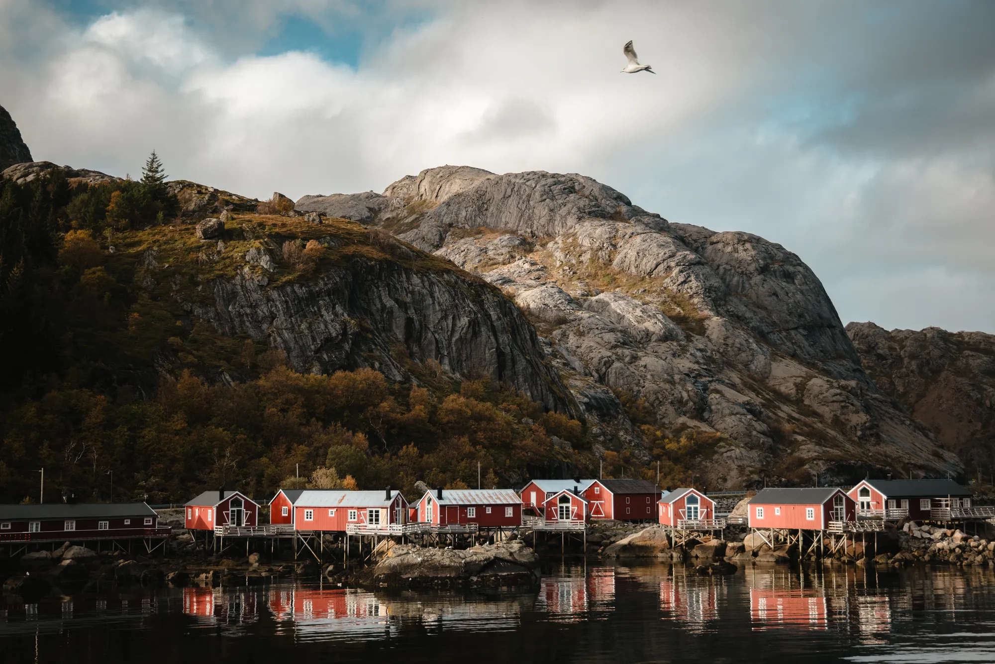 Nusfjord Arctic Resort