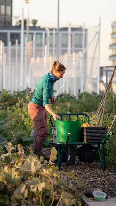The high-flying agriculture  