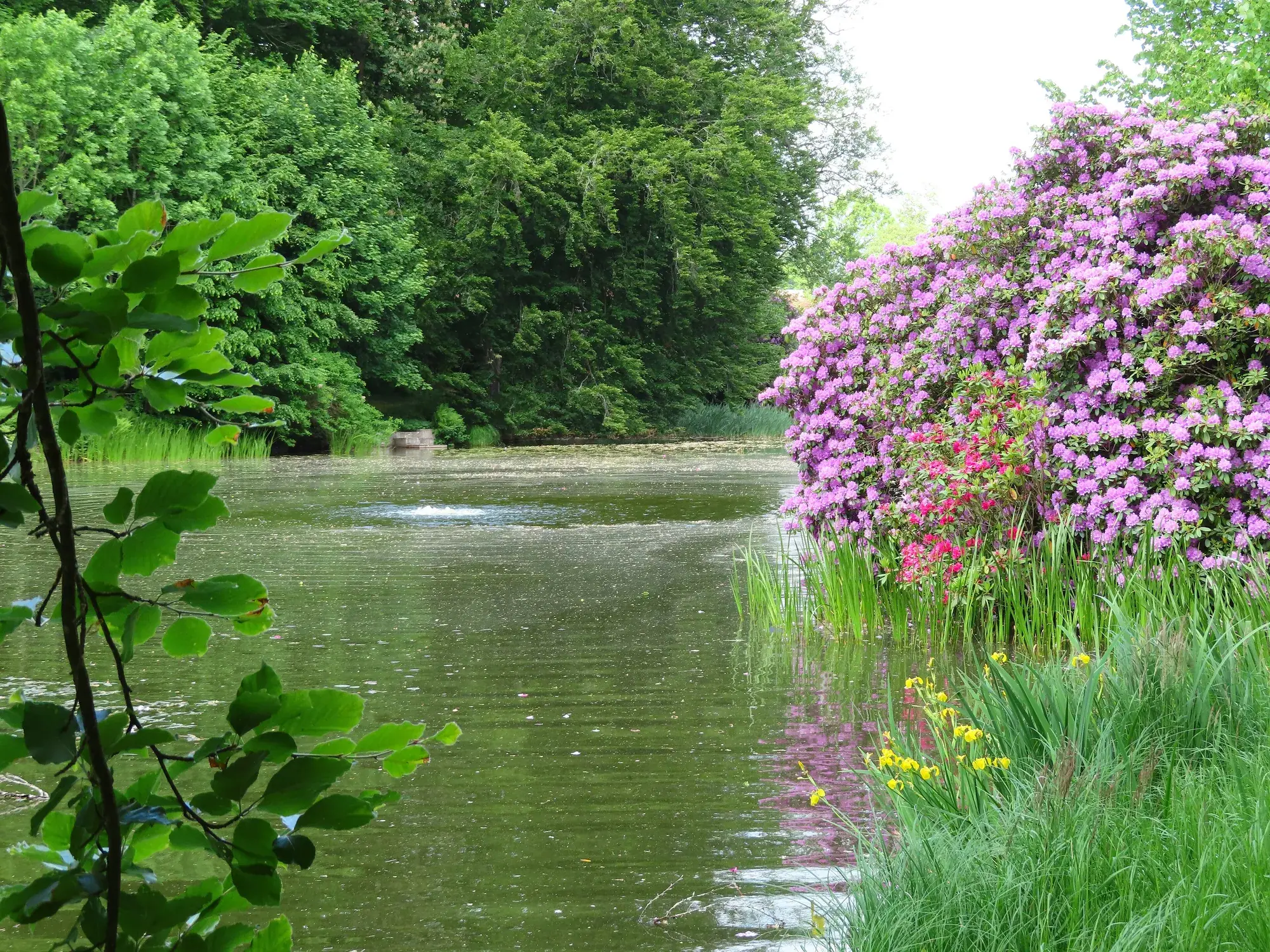 L’art aux champs