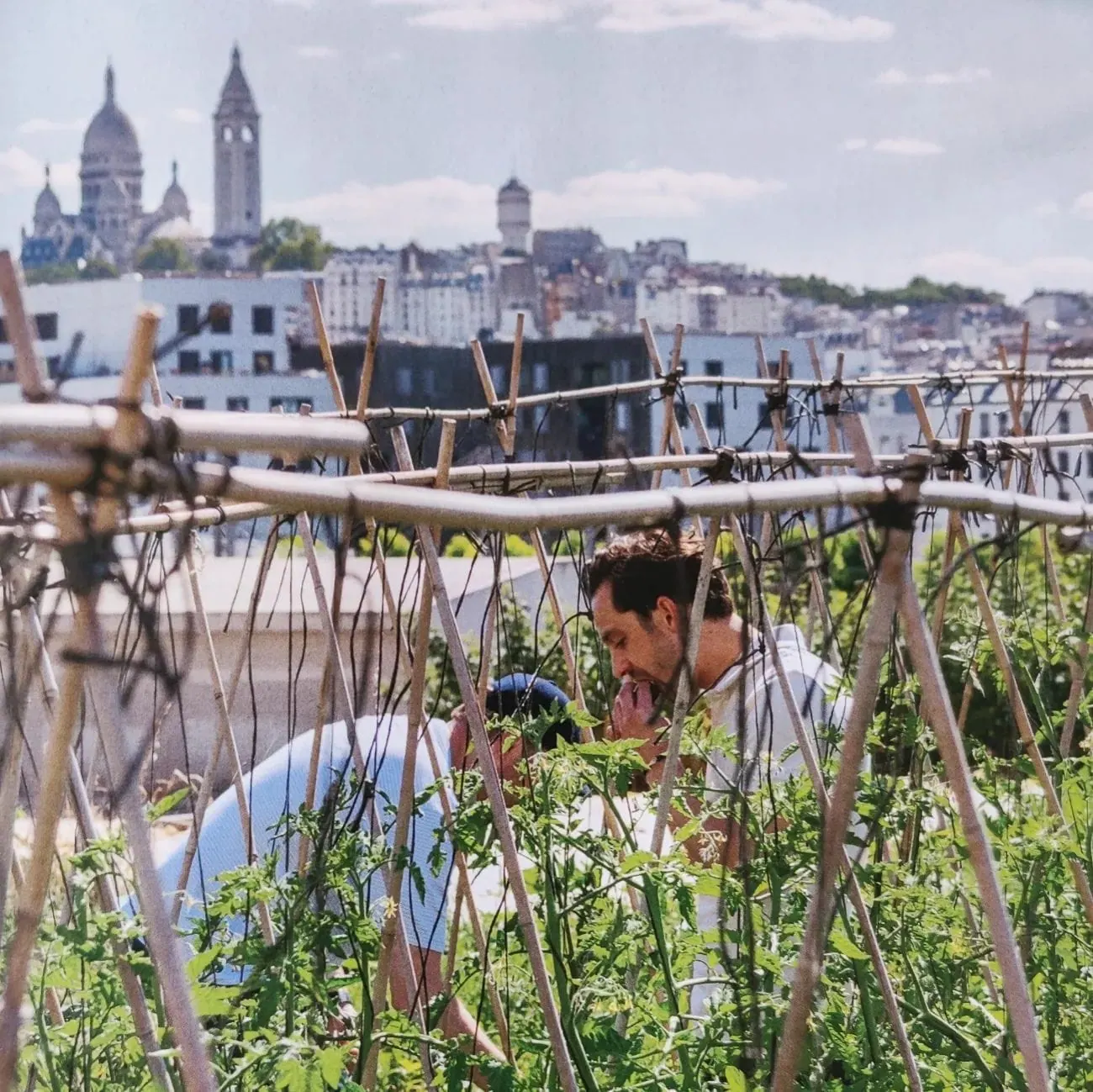 We had the same goals as the city of Paris.