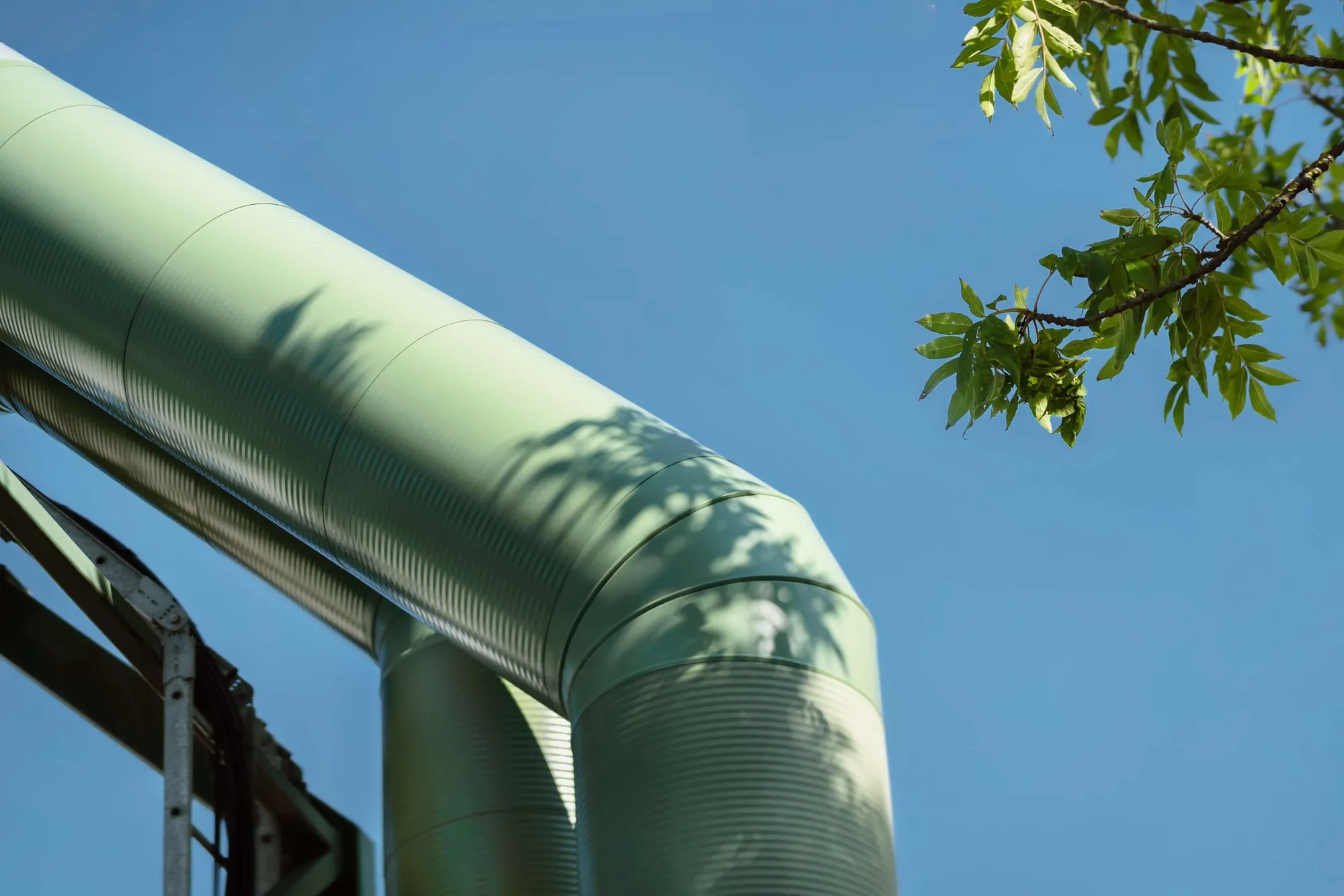 A Symbiosis pipe under the leaves in Kalundborg.