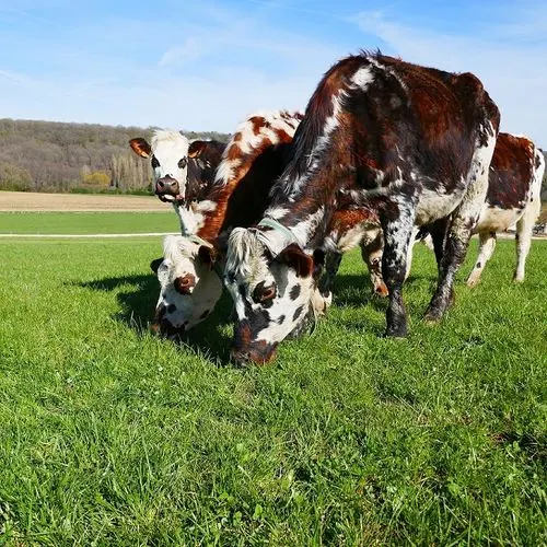 The profiles interested in agricultural careers are increasingly varied.