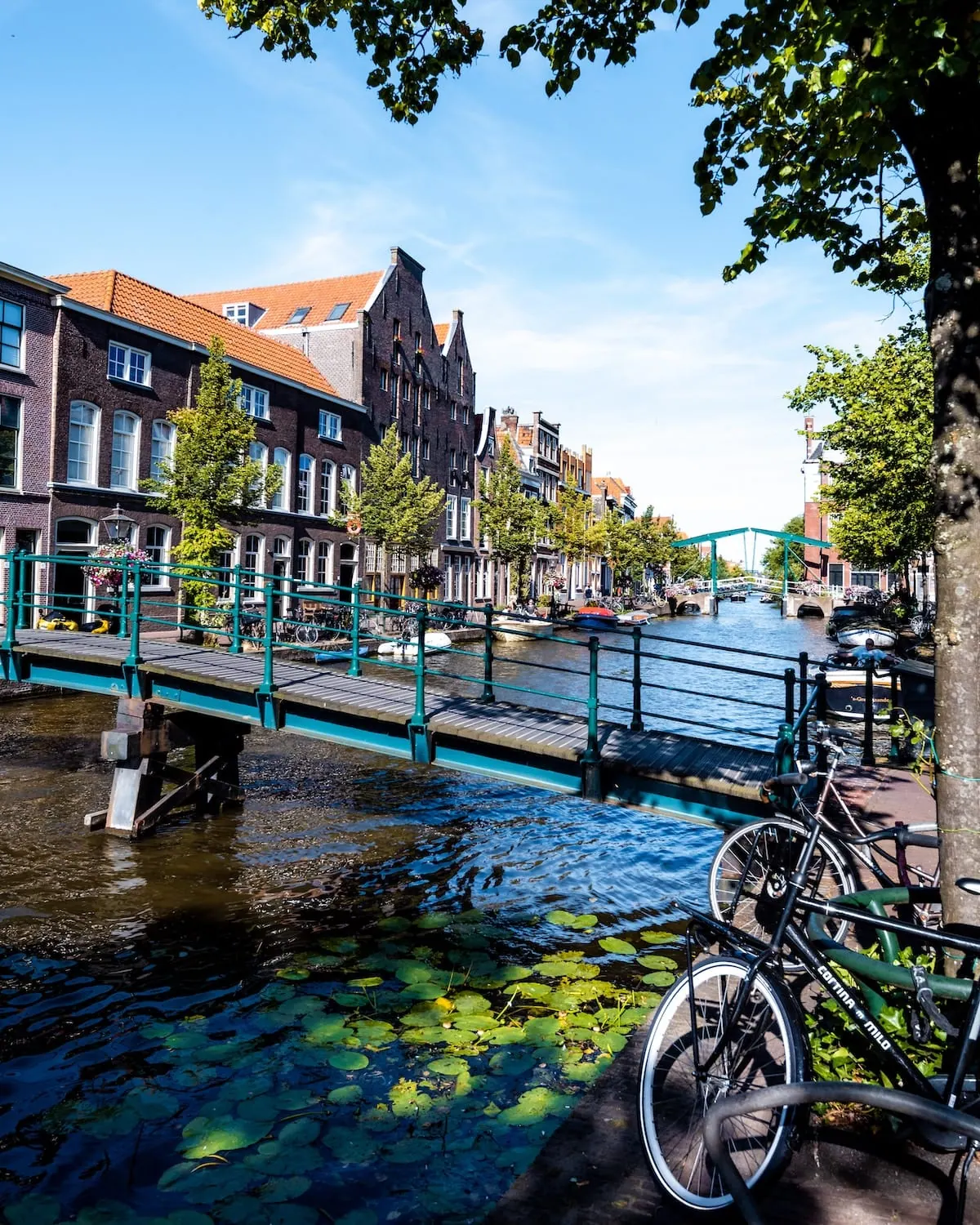 Amsterdam: pioneers of the Doughnut economy