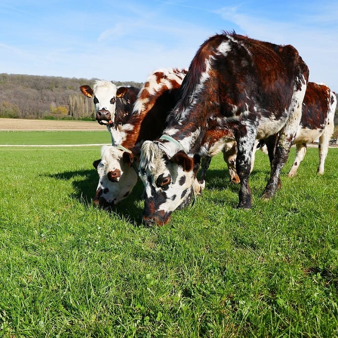 The profiles interested in agricultural careers are increasingly varied. 