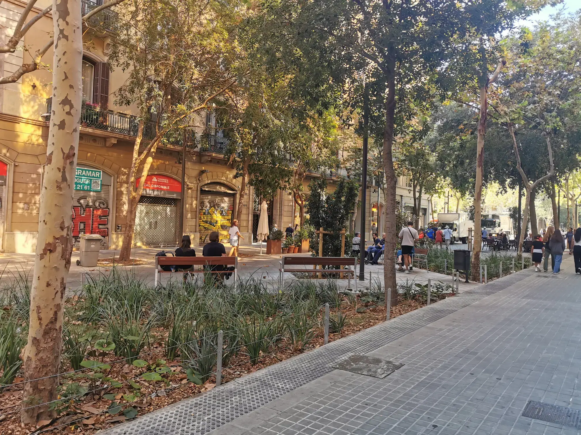 Consell de Cent pavé de plain-pied : massifs, bancs occupés, platanes, passants, 25 septembre 2023