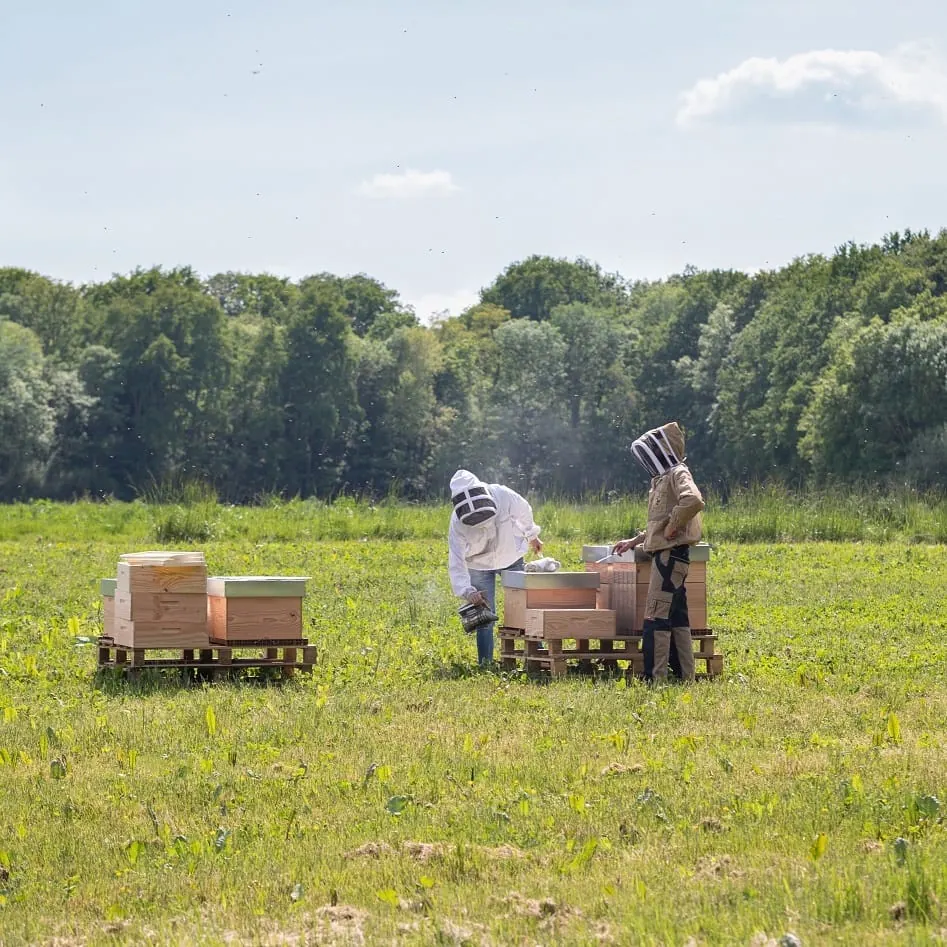 Agriculture is a powerful tool for environmental transition.