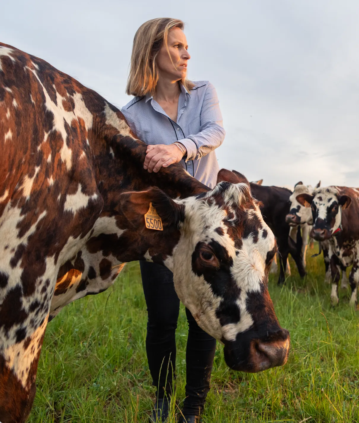 Le campus de la transition agricole