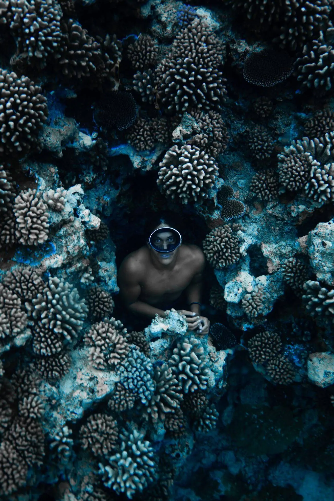 Supercorals for the oceans